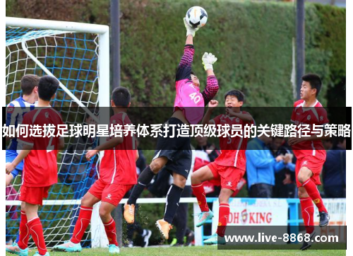 如何选拔足球明星培养体系打造顶级球员的关键路径与策略