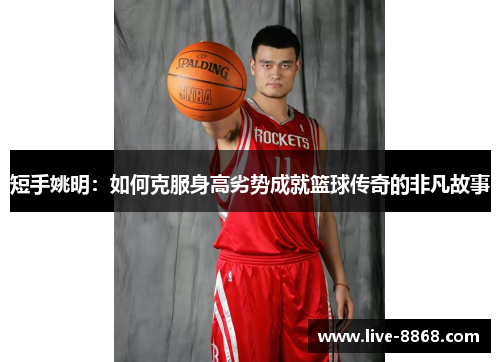 短手姚明：如何克服身高劣势成就篮球传奇的非凡故事