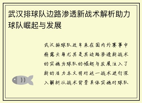 武汉排球队边路渗透新战术解析助力球队崛起与发展